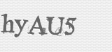 CAPTCHA code