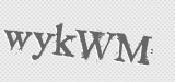 CAPTCHA code