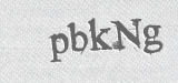 CAPTCHA code