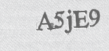 CAPTCHA code