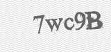 CAPTCHA code