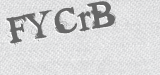 CAPTCHA code