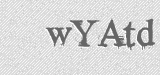 CAPTCHA code