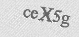 CAPTCHA code