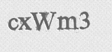 CAPTCHA code