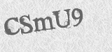 CAPTCHA code