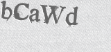 CAPTCHA code