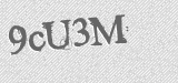 CAPTCHA code