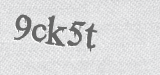 CAPTCHA code