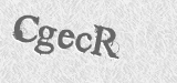 CAPTCHA code