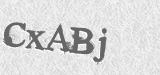 CAPTCHA code