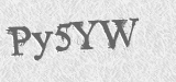 CAPTCHA code