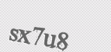 CAPTCHA code