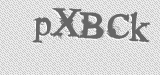 CAPTCHA code