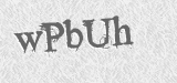 CAPTCHA code