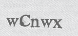 CAPTCHA code