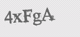 CAPTCHA code