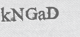 CAPTCHA code