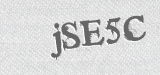 CAPTCHA code