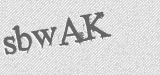 CAPTCHA code