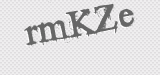 CAPTCHA code