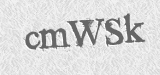 CAPTCHA code