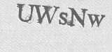 CAPTCHA code