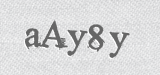 CAPTCHA code