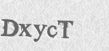 CAPTCHA code