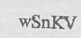 CAPTCHA code