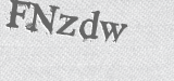 CAPTCHA code