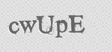 CAPTCHA code