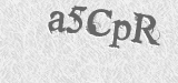 CAPTCHA code