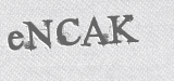 CAPTCHA code