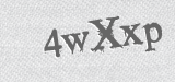 CAPTCHA code