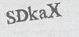 CAPTCHA code
