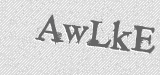 CAPTCHA code