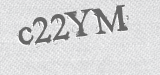CAPTCHA code