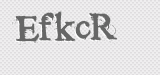 CAPTCHA code