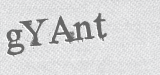 CAPTCHA code