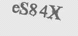 CAPTCHA code