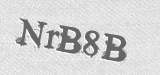 CAPTCHA code
