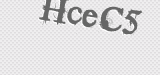 CAPTCHA code