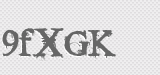 CAPTCHA code
