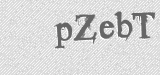 CAPTCHA code