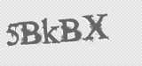 CAPTCHA code