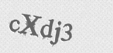 CAPTCHA code