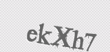 CAPTCHA code