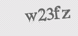 CAPTCHA code