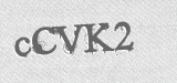 CAPTCHA code